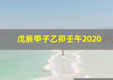 戊辰甲子乙卯壬午2020