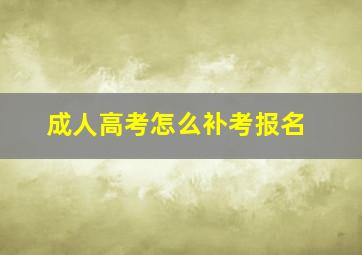 成人高考怎么补考报名