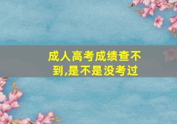 成人高考成绩查不到,是不是没考过