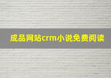 成品网站crm小说免费阅读