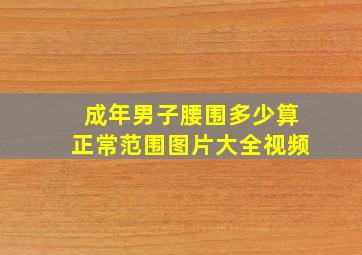 成年男子腰围多少算正常范围图片大全视频