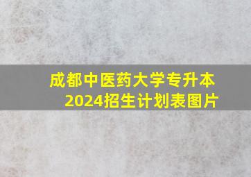 成都中医药大学专升本2024招生计划表图片