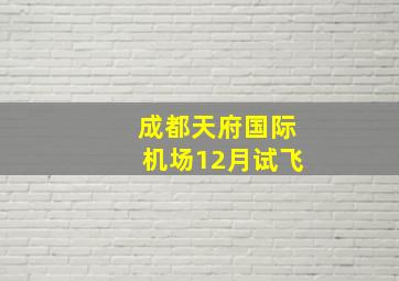 成都天府国际机场12月试飞