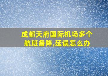 成都天府国际机场多个航班备降,延误怎么办