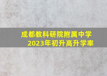 成都教科研院附属中学2023年初升高升学率