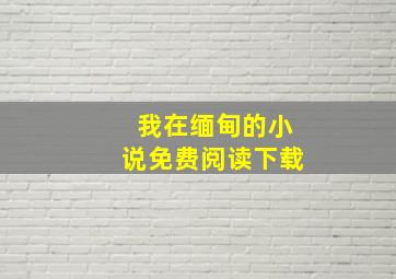 我在缅甸的小说免费阅读下载