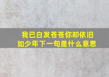 我已白发苍苍你却依旧如少年下一句是什么意思