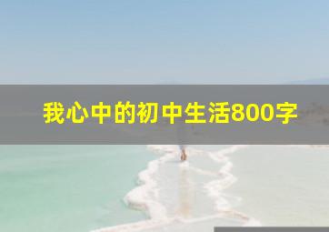 我心中的初中生活800字