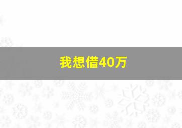 我想借40万