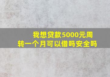 我想贷款5000元周转一个月可以借吗安全吗