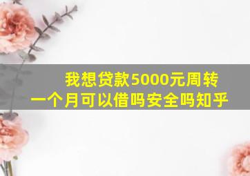 我想贷款5000元周转一个月可以借吗安全吗知乎