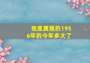 我是属猴的1956年的今年多大了