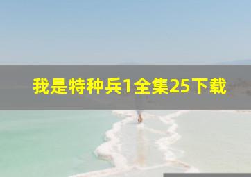 我是特种兵1全集25下载