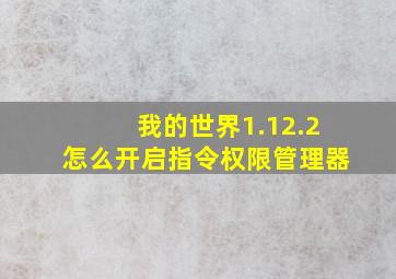 我的世界1.12.2怎么开启指令权限管理器