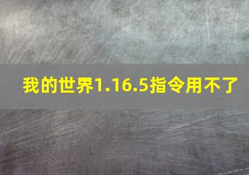 我的世界1.16.5指令用不了