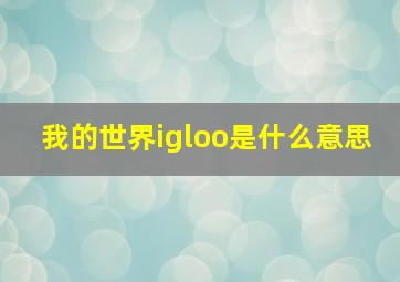 我的世界igloo是什么意思