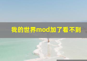 我的世界mod加了看不到