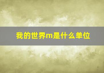 我的世界m是什么单位