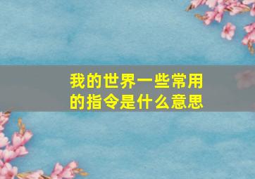 我的世界一些常用的指令是什么意思