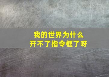 我的世界为什么开不了指令框了呀