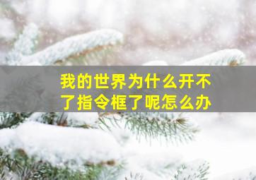 我的世界为什么开不了指令框了呢怎么办