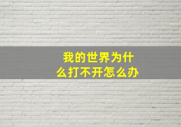 我的世界为什么打不开怎么办