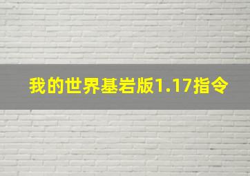 我的世界基岩版1.17指令