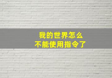 我的世界怎么不能使用指令了