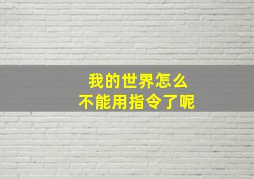 我的世界怎么不能用指令了呢