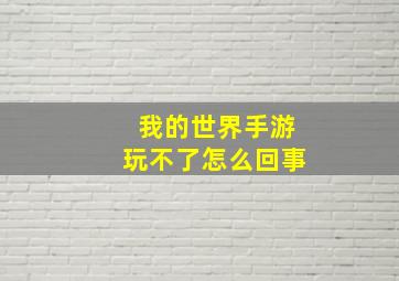 我的世界手游玩不了怎么回事