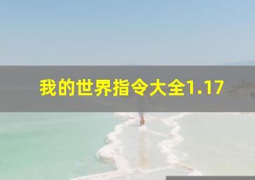 我的世界指令大全1.17