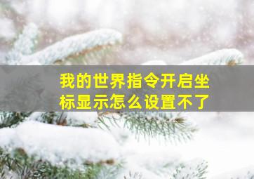 我的世界指令开启坐标显示怎么设置不了