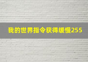 我的世界指令获得缓慢255