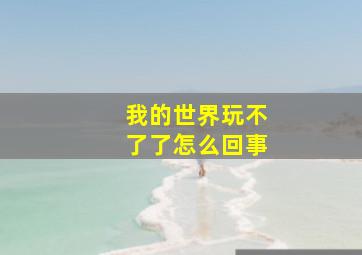 我的世界玩不了了怎么回事