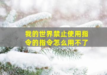 我的世界禁止使用指令的指令怎么用不了