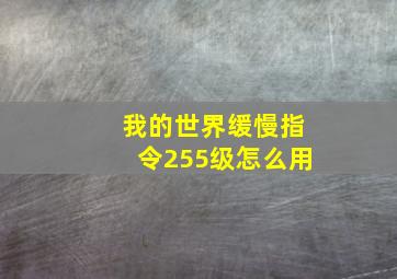 我的世界缓慢指令255级怎么用