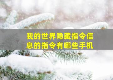 我的世界隐藏指令信息的指令有哪些手机