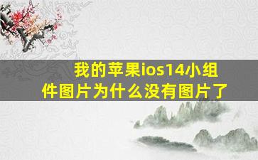 我的苹果ios14小组件图片为什么没有图片了