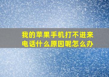 我的苹果手机打不进来电话什么原因呢怎么办