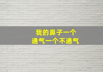 我的鼻子一个通气一个不通气