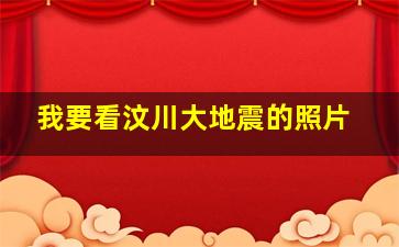 我要看汶川大地震的照片