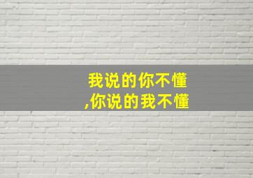 我说的你不懂,你说的我不懂