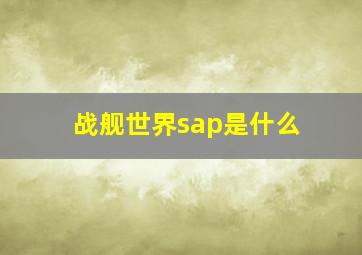 战舰世界sap是什么