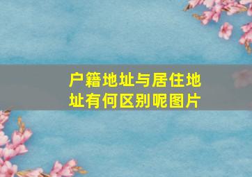 户籍地址与居住地址有何区别呢图片