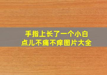 手指上长了一个小白点儿不痛不痒图片大全