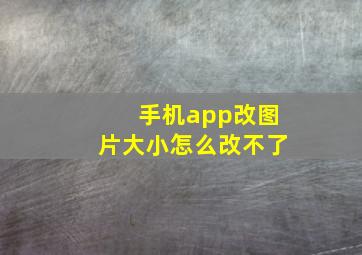 手机app改图片大小怎么改不了