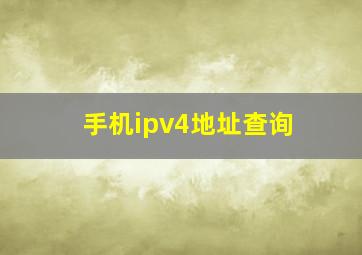 手机ipv4地址查询