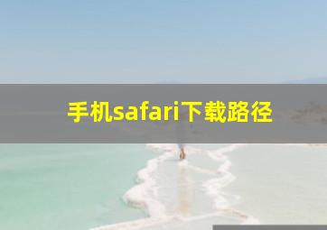 手机safari下载路径