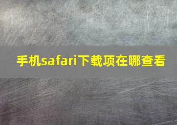 手机safari下载项在哪查看