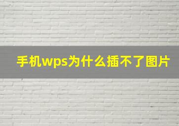 手机wps为什么插不了图片